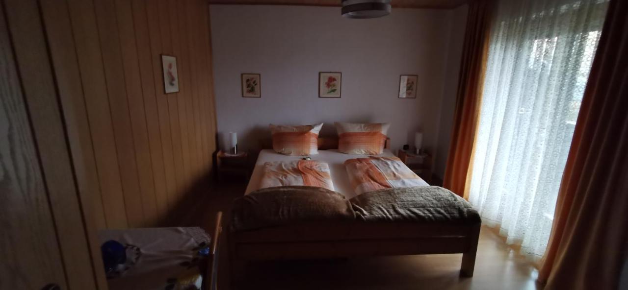 Haus Anton Lägenhet Zwiesel Exteriör bild